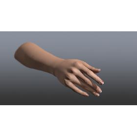 Rigged and Animated Hand (Female)